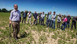 Petworth Monitor Farm Summer Meeting 